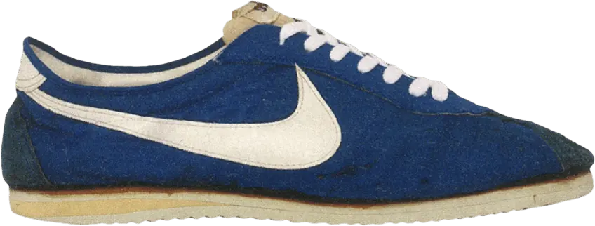 Nike Wayne Wells Trainer &#039;Finland Blue&#039;