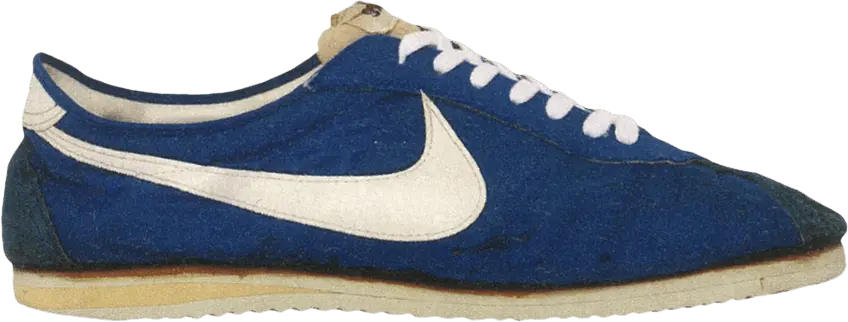  Nike Wayne Wells Trainer &#039;Finland Blue&#039;