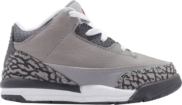  Jordan 3 Retro Cool Grey (TD)