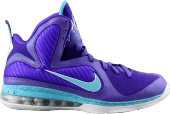  Nike LeBron 9 Summit Lake Hornets