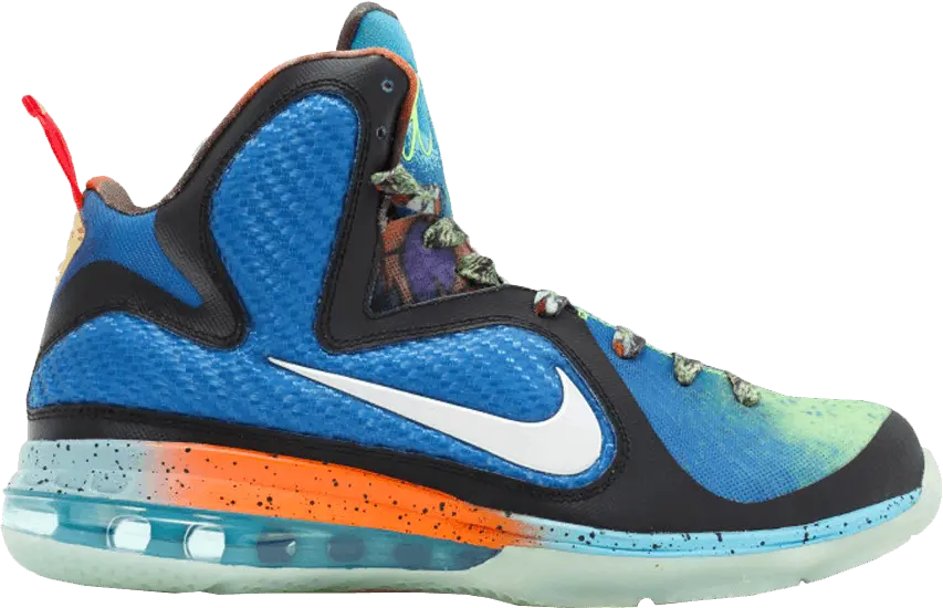  Nike LeBron 9 What the LeBron (Sample)