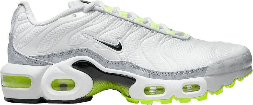  Nike Air Max Plus Retro Air Max Logos (GS)