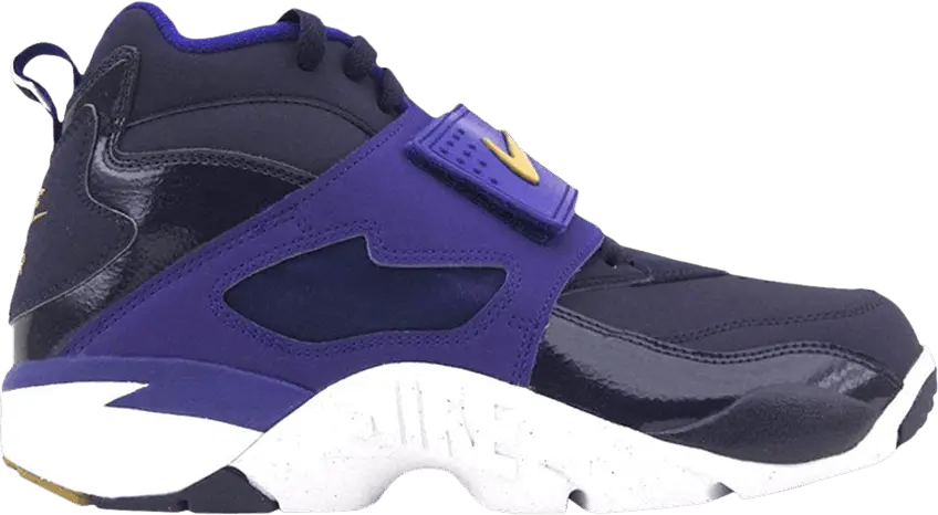  Nike Air Diamond Turf 2 09 GS &#039;Purple Dynasty&#039;