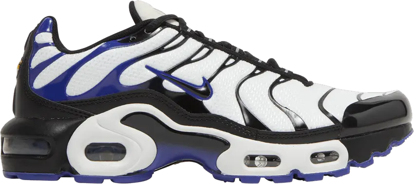  Nike Air Max Plus Persian Violet (GS)