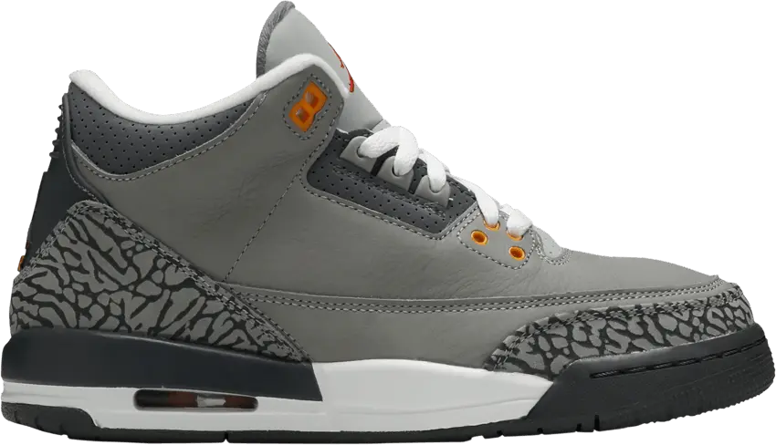  Jordan 3 Retro Cool Grey (2021) (GS)