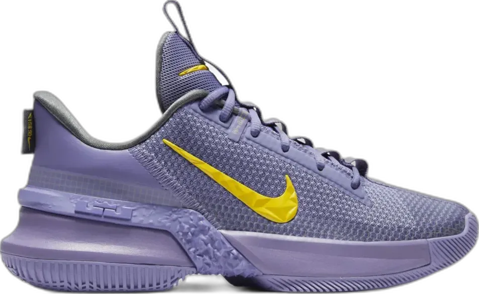  Nike LeBron Ambassador 13 Lakers