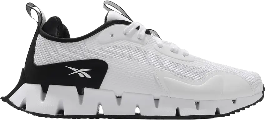  Reebok Zig Dynamica White Black