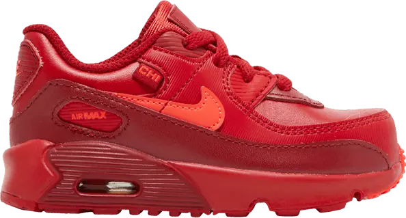  Nike Air Max 90 City Special Chicago (TD)