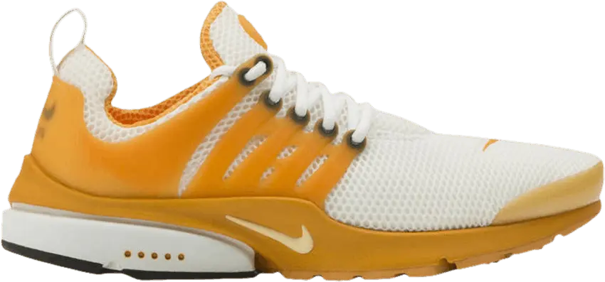  Nike Air Presto &#039;Orange Monk&#039;