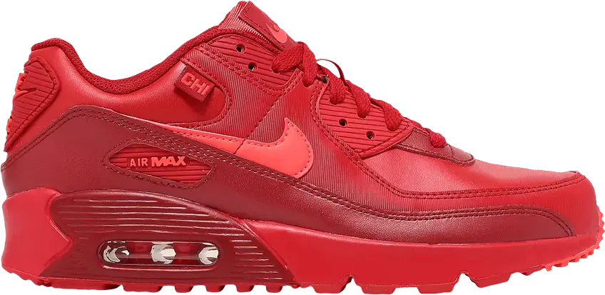  Nike Air Max 90 City Special Chicago (GS)