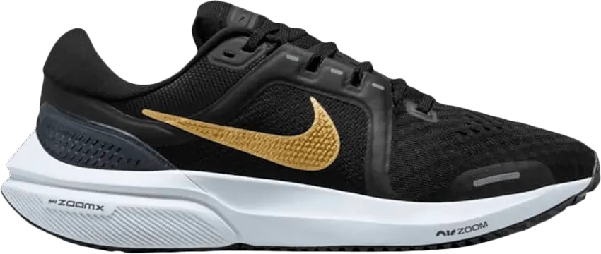  Nike Air Zoom Vomero 16 Black Metallic Gold Coin (Women&#039;s)