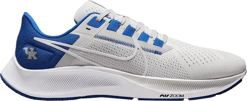  Nike Air Zoom Pegasus 38 &#039;Kentucky&#039;
