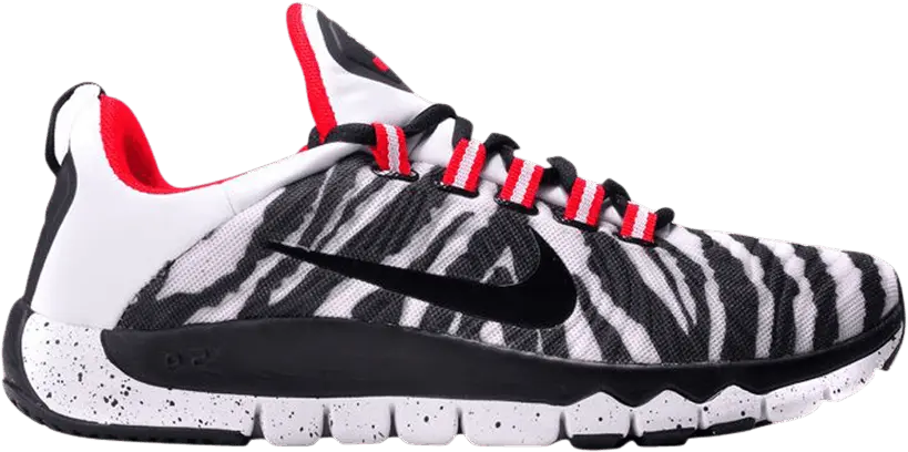  Nike Free Trainer 5.0 NRG Zebra Print