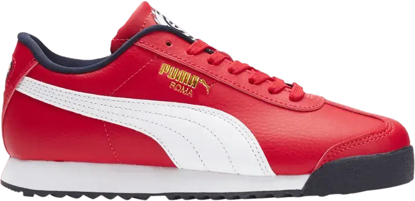  Puma Roma Big Kid &#039;Country Pack - USA&#039;