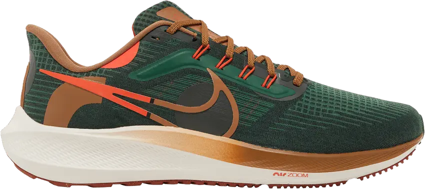  Nike Air Zoom Pegasus 39 A.I.R. Hola Lou