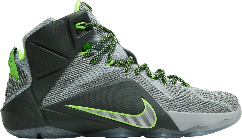  Nike LeBron 12 Dunk Force