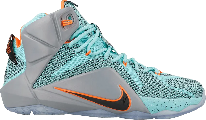  Nike LeBron 12 NSRL