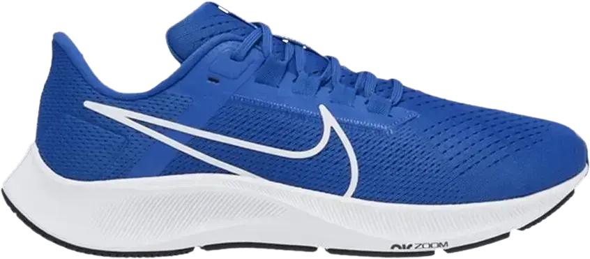  Nike Air Zoom Pegasus 38 TB &#039;Game Royal&#039;