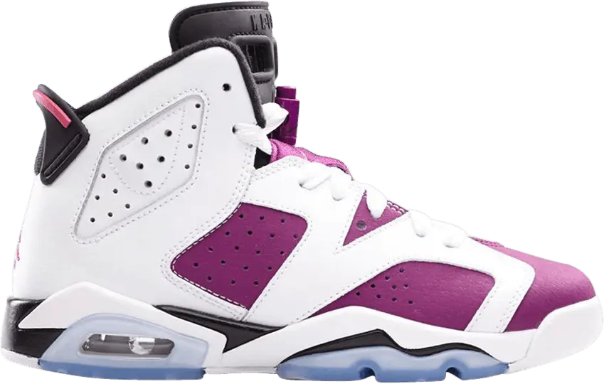  Jordan 6 Retro Grape (GS)