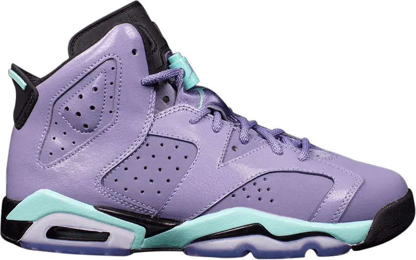  Jordan 6 Retro Iron Purple (GS)