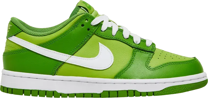  Nike Dunk Low Chlorophyll (GS)