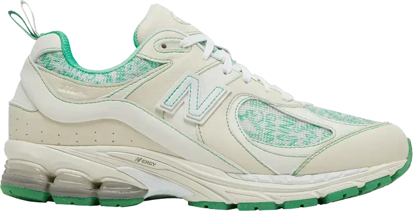  New Balance 2002R GANNI Turtledove