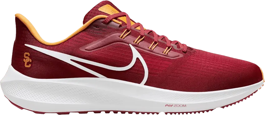  Nike Air Zoom Pegasus 39 &#039;USC&#039;