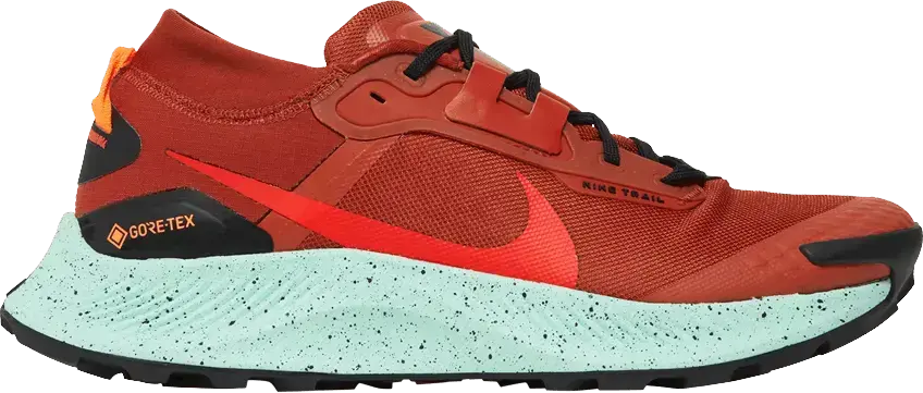 Nike Pegasus Trail 3 Gore-Tex Rugged Orange