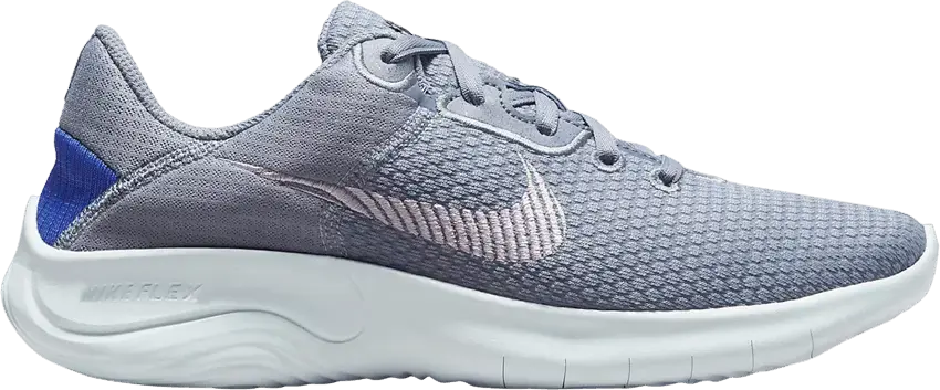  Nike Wmns Flex Experience Run 11 Next Nature &#039;Ashen Slate Doll&#039;