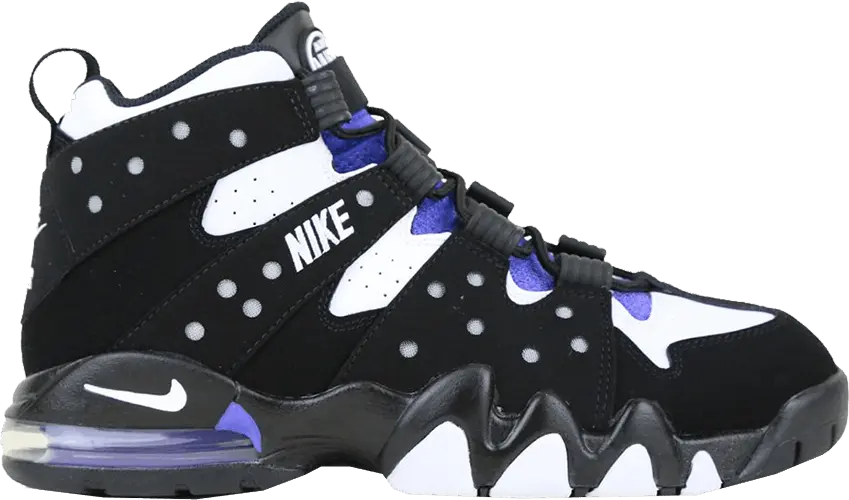  Nike Air Max 2 CB 94 Black White Purple (2015) (GS)