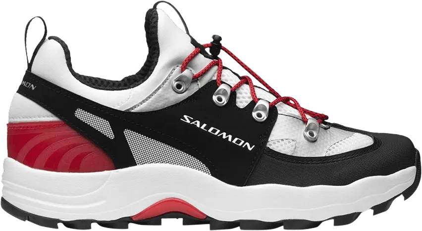 Salomon Raid Wind White Black Goji Berry