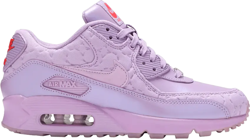  Nike Air Max 90 Paris Macaron (GS)