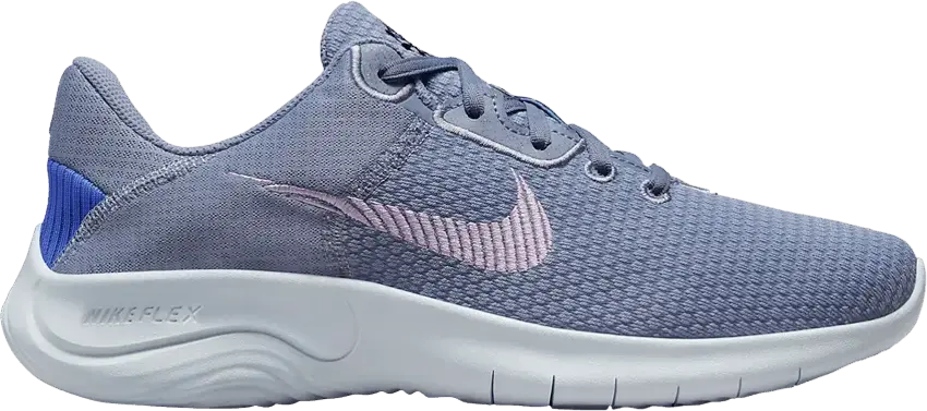  Nike Wmns Flex Experience Run 11 Wide &#039;Ashen Slate&#039;