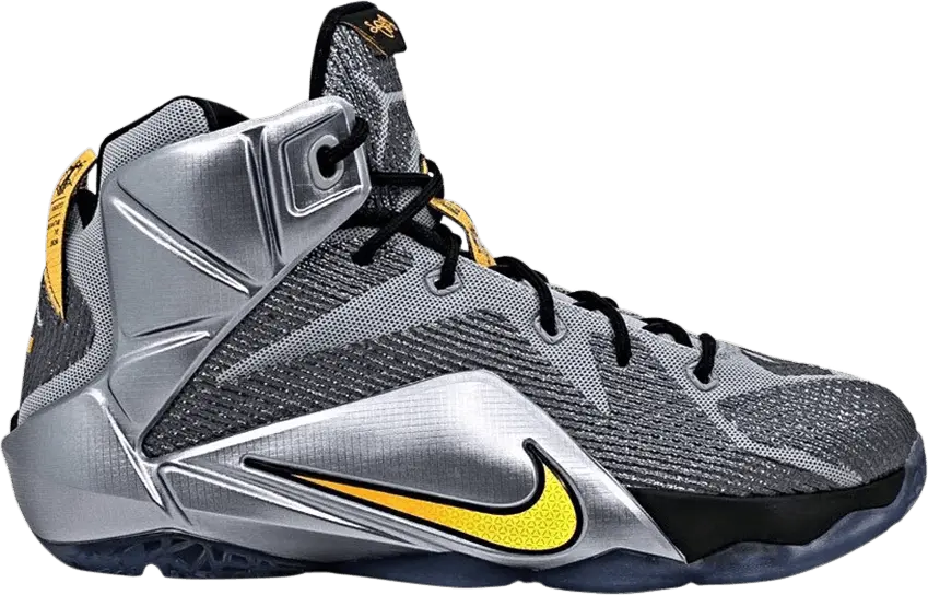  Nike LeBron 12 Flight