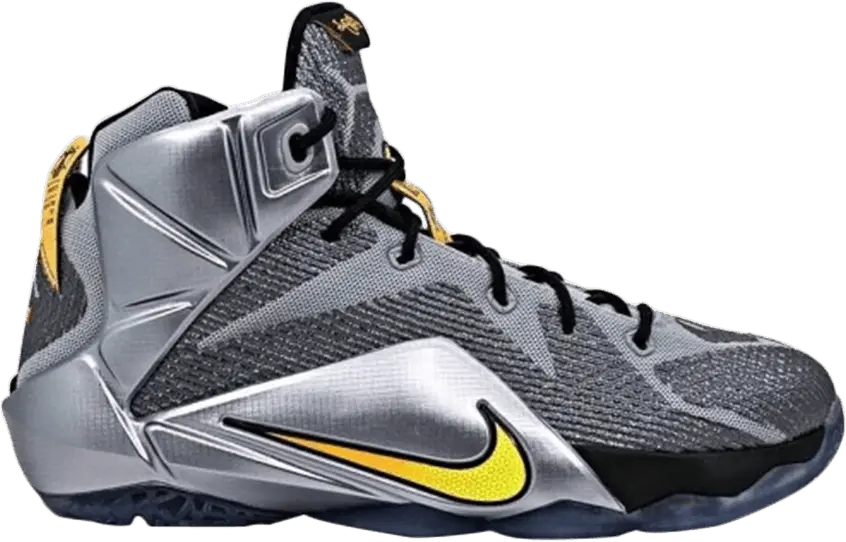  Nike LeBron 12 Flight (GS)