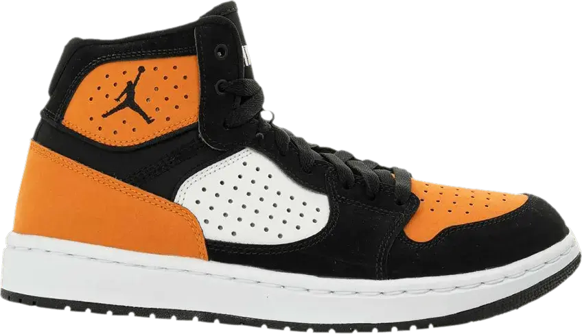 Jordan Access Shattered Backboard