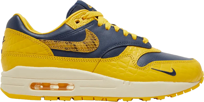  Nike Air Max 1 CO.JP Michigan Head to Head (Women&#039;s)